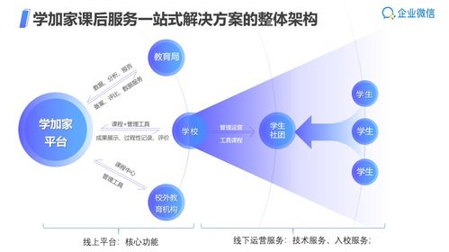 雙減政策下的科技賦能 河南網(wǎng)絡技術服務如何助力學校課后服務提質增效