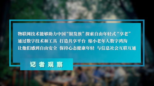 高質量發(fā)展調研行丨科技賦能 從“養(yǎng)老”到“享老”的河南網(wǎng)絡技術服務實踐