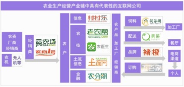 從美日現(xiàn)代農(nóng)業(yè)發(fā)展進程，看互聯(lián)網(wǎng)將如何改造中國的農(nóng)業(yè)技術服務——以河南為例